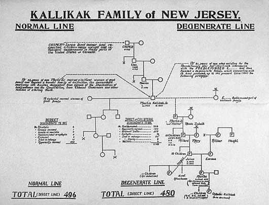 Linhas "normais" e "degeneradas" da família Kallikak (New Jersey)