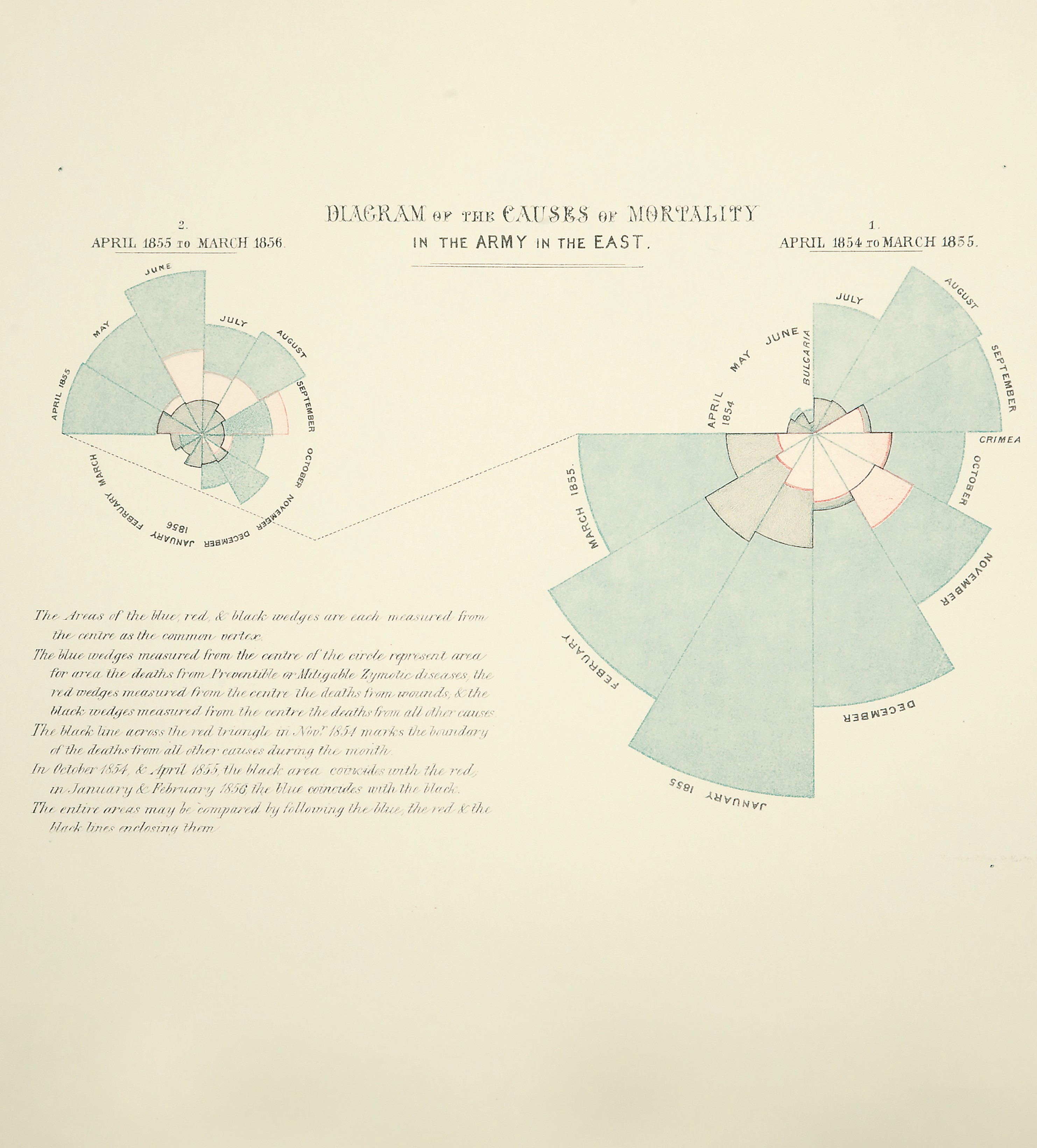 Esse diagrama (coxcomb) feito durante a Guerra da Crimeia foi dividido igualmente em 12 setores, representando os meses do ano, com a área sombreada do setor  de cada mês proporcional à taxa de mortalidade naquele mês. Seu sombreamento com código de cores indicava a causa da morte em cada área do diagrama